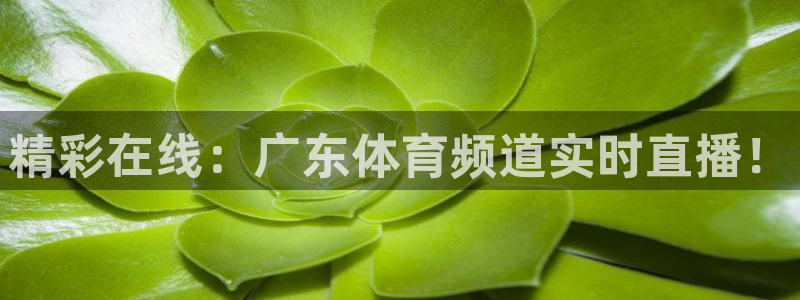 绿茵直播原声