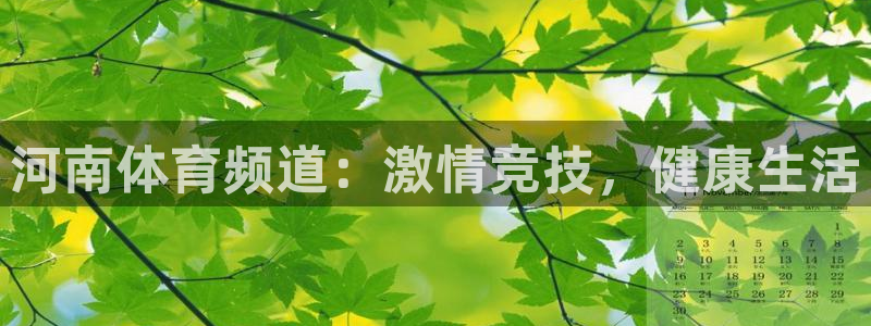 绿茵直播原声