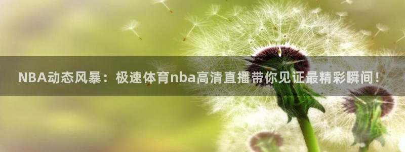 绿茵直播nba回放