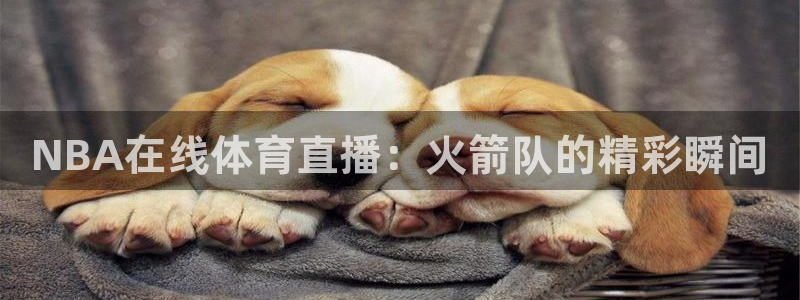 lyzb绿茵直播真实球迷汇