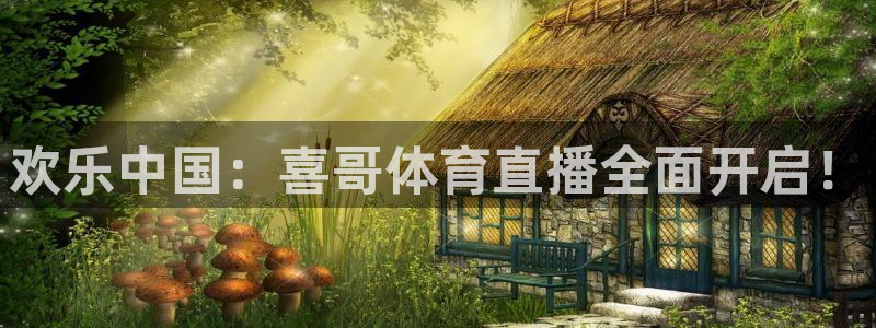 绿茵直播app：欢乐中国：喜哥体育直播全面开启！