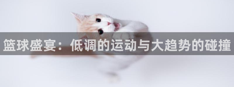 足球绿茵直播：篮球盛宴：低调的运动与大趋势的碰撞