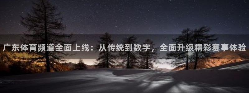 绿茵直播软件官网手机版：广东体育频道全面上线：从传统到数字，全面升级精彩赛事体验