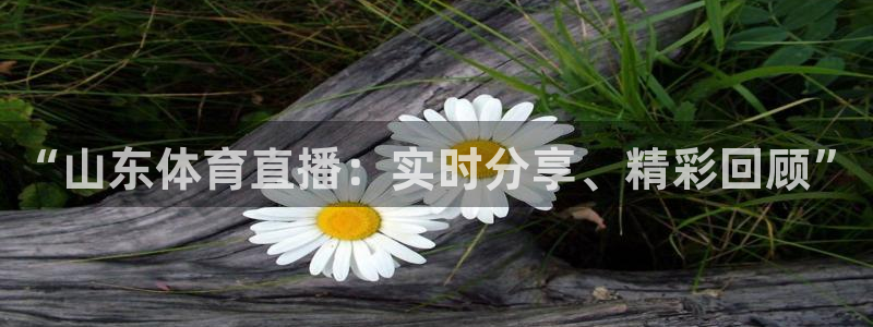 绿茵直播足球直播：“山东体育直播：实时分享、精彩回顾”